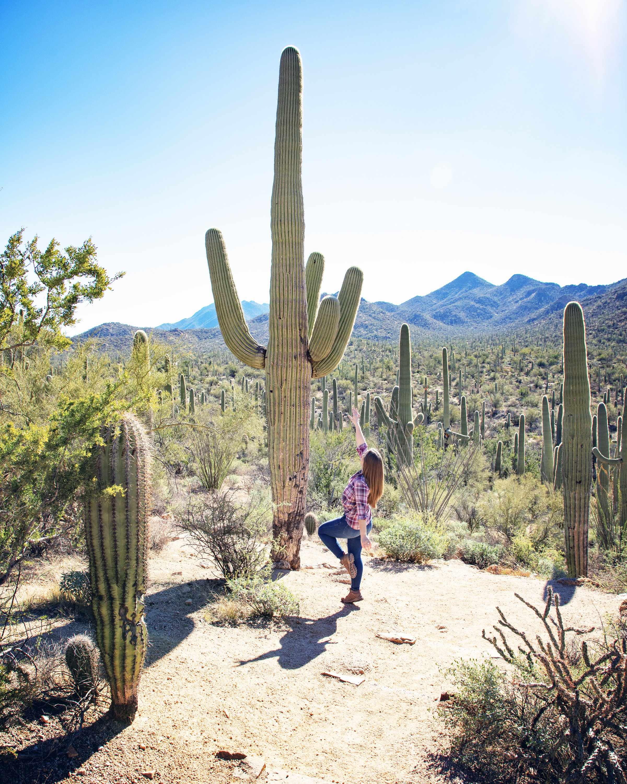 🏞️ 세토가로 계곡(세토가로) 이미지 8